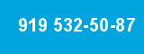 919 532-50-87 919 532-50-87